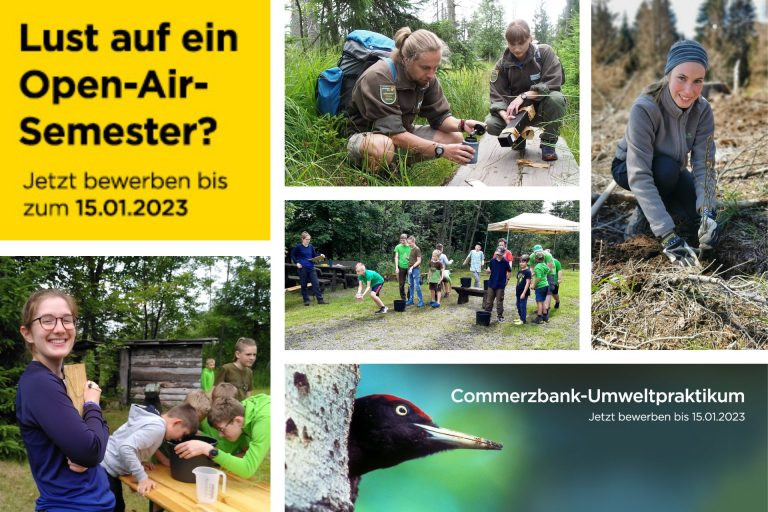 Commerzbank-Umweltpraktikum_Teaser_2023_0-768x512