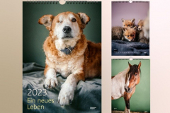 der-greenpeace-magazin-kalender-2023-zeigt-portr-ts-charakterstarker-tierpers-nlichkeiten-die-aus-no
