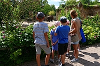 Moderne Zoos: Jetzt gemeinsam Handeln