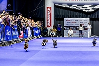 DogWorld 2026: Münchens großes Community-Event mit Messe und internationalem DackelRace.