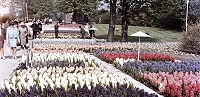 Ein Garten der Moderne mit einer großen Geschichte: Der egapark Erfurt feiert in diesem Jahr sein 65. Jubiläum.
