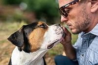 Teurer als gedacht! Rover-Umfrage zeigt: Fast jeder zweite Hundehalter unterschätzt die Kosten.